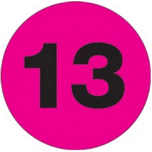 "13" (Fluorescent Pink) Number Labels